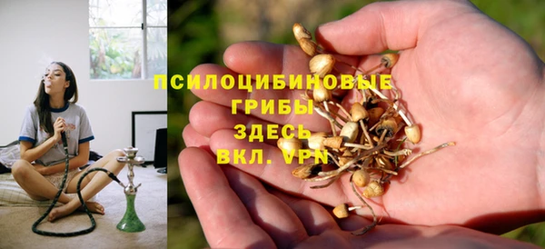эйфоретик Армянск