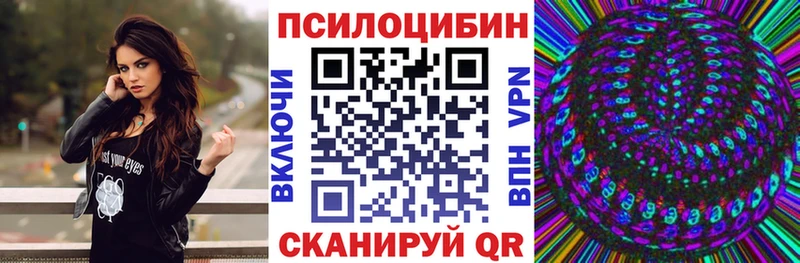 OMG ТОР  Новоульяновск  Галлюциногенные грибы Psilocybine cubensis  как найти  
